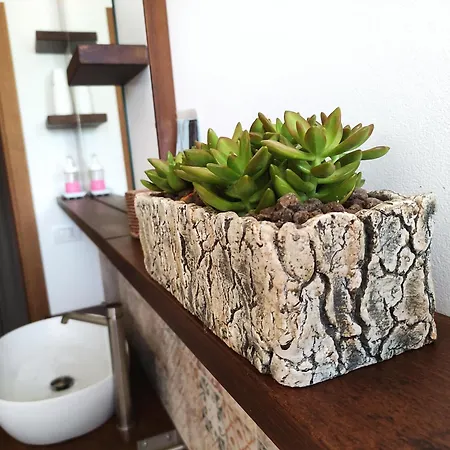 Casa Montefiore 13 Lt Nella Tranquilla Campagna Marchigiana