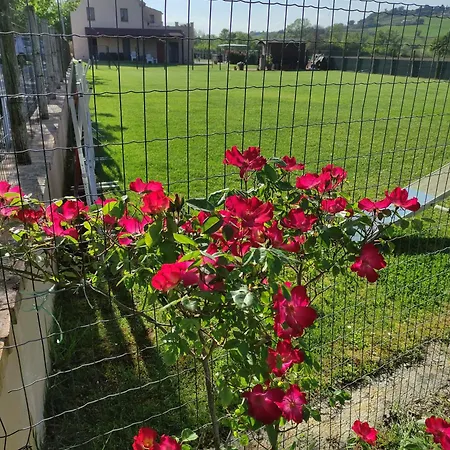 Casa Montefiore 13 Lt Nella Tranquilla Campagna Marchigiana דירה